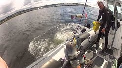 Edmonds Underwater Park construction- Pilings 