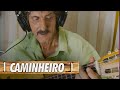 Caminheiro - Goianito (Viola instrumental)