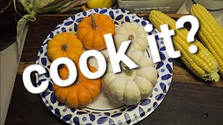 Can you cook Mini pumpkins in frying pan | October-thon day 19 of 30