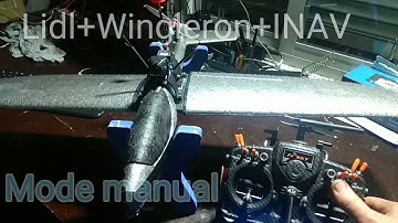 LIDL glider wingleron