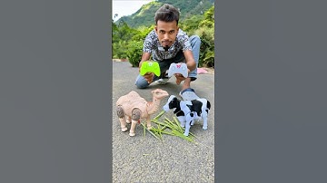 Deko Ekta RC Camel and Remote wala Cow Unboxing 😋