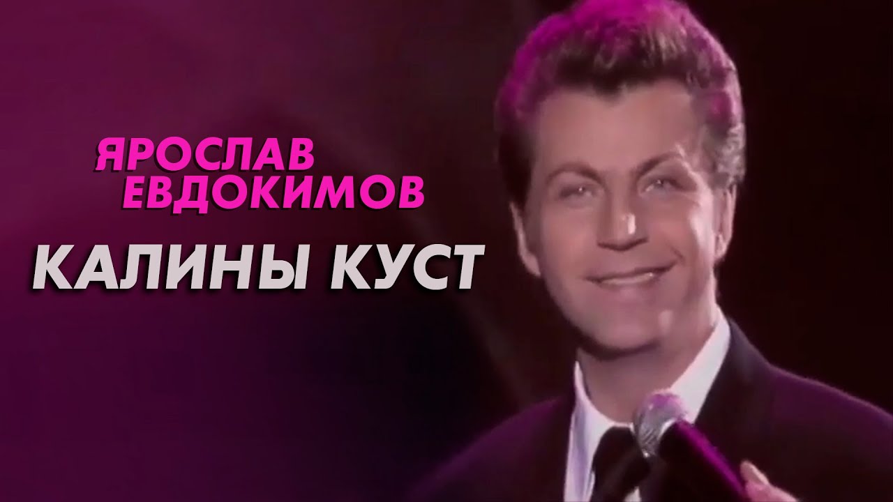 Минус калины куст евдокимов