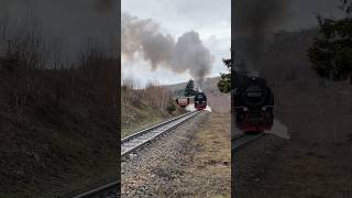 Ein kurzes Vergnügen #locomotive #steampower #fyp #trainspotting #steamtrain #germany