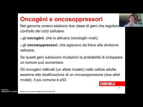 Oncogeni ed oncosoppressori