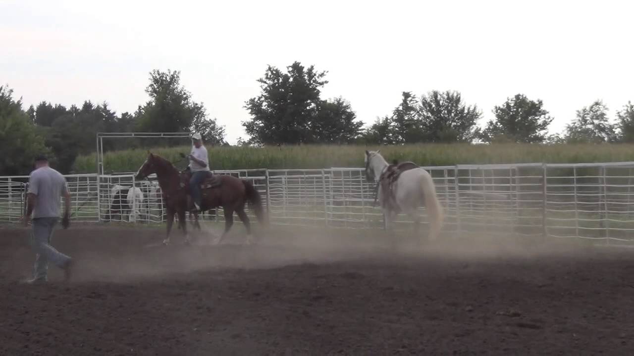 Cody's roping practice wreck YouTube