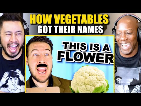 RYAN GEORGE: How Vegetables Got Their Names REACTION | Pitch Meeting (Barely an Inconvenience) Guy