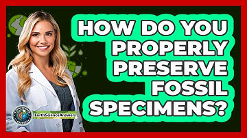 How Do You Properly Preserve Fossil Specimens? - Earth Science Answers