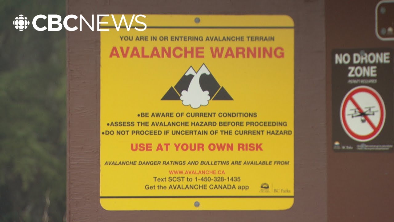 Forecaster warns of heightened avalanche risk amid warming, heavy  precipitation