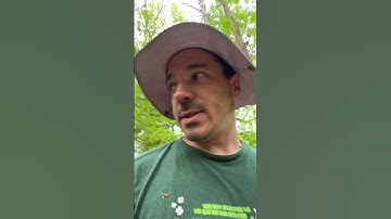 Decking floor boards are going in! #diytreehouse #treehousebuilding #zipline