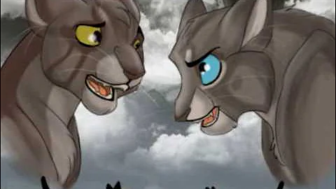 Warriors  Power of Three Preveiw -13 subbers vid [mild sunrise spoilers]