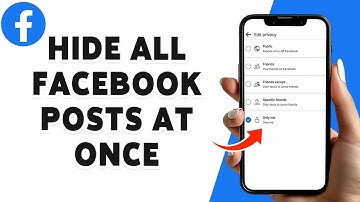 How To Hide All Facebook Posts At Once 2024 | Manage Facebook App Privacy Settings