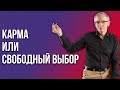 Что определяет жизнь: карма или свободный выбор? Валентин Ковалев