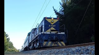 TREN ESPECIAL A YUMBEL ENERO 2023, CÁMARA 2