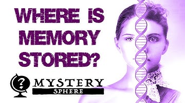 Cellular Memory - Personality Changes After Organ Transplant - MYSTERY SPHERE