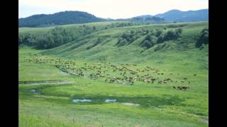 Four Principles of Good Range Management