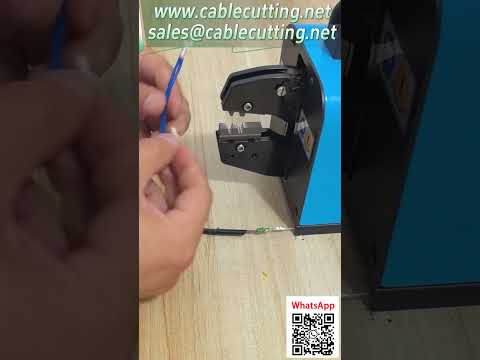 Progressive Die Mold for Multi-Station Terminal Automation Tooling