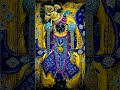 #live #song #love #dwarka #krishna #dwarka #viral #trending #india #youtubeshorts #bts #music #meme