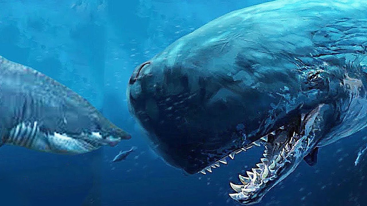 Мегалодон самый опасный хищник океана! 