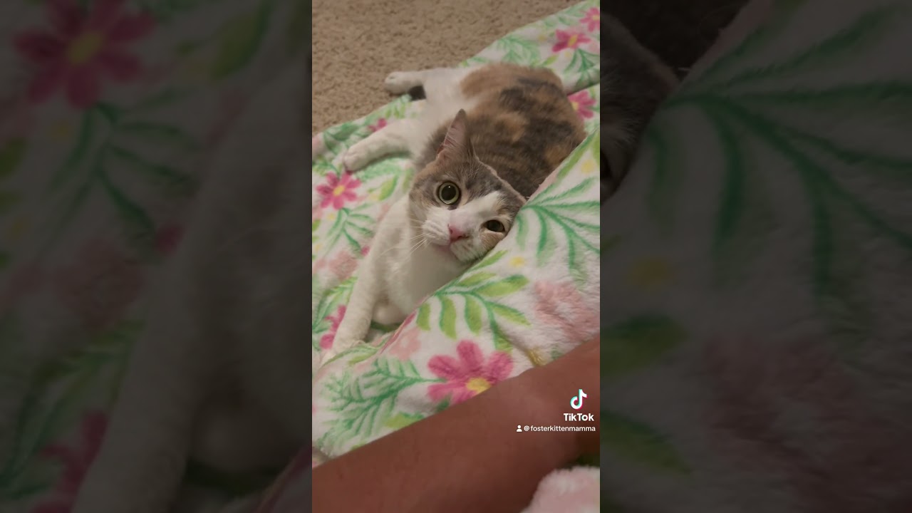 The way she looks at me 🥹 