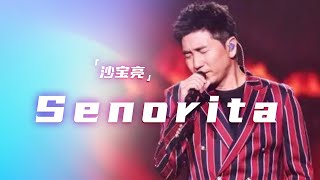 沙宝亮演唱《Senorita》 经典好听的旋律 听一遍就爱上了 [精选中文好歌] | 中国音乐电视Music TV
