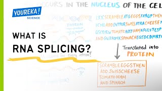 What is RNA Splicing? Separating the Signal From the Noise