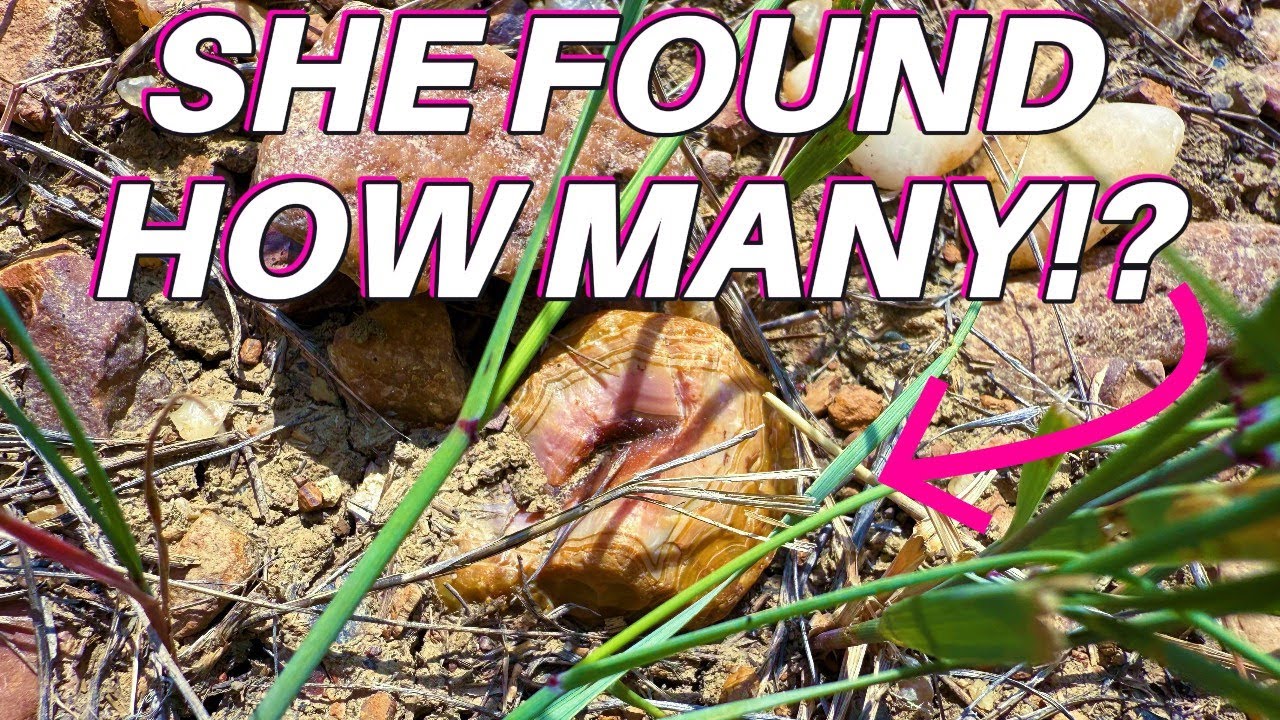 MULTIPLE FAIRBURN AGATES FOUND! | Rockhounding in South Dakota