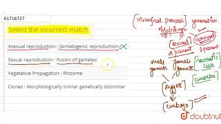 Select the incorrect match
