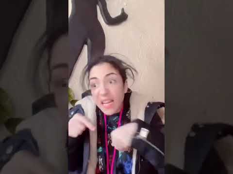 صباح الخير يا افندم ماشي هنشوف