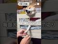 試行錯誤の末、2段ベッドで爪切りすることに  #柴犬 #犬 #爪切り #柴犬のいる暮らし #いぬ