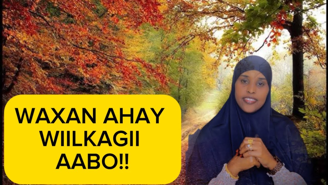 WAXAN AHAY WIILKAGII AABO!!