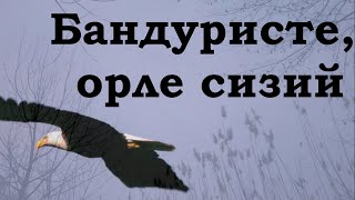 Бандуристе, орле сизий - Ірина Федотова