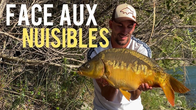 Découvrir la pêche en float-tube - Beaune-sur-Arzon (43500)