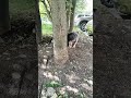 Kasper. Не лайкай.