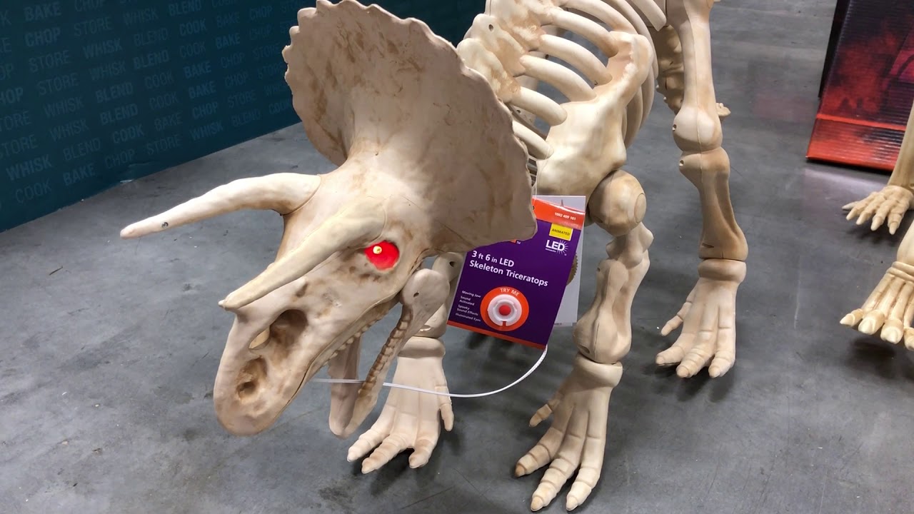 Home Depot Halloween 2019 Animated Skeleton Triceratops Home Depot Halloween 2019 Animated Skeleton Triceratops