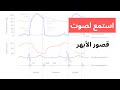 صوت قصور الأبهر الأورطا