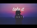 LiQWYD - Take it [Official]