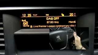 AutoDAB: Peugeot 508 DAB-PE1 User Guide