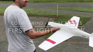Cosmic Wind - Great Planes / Bibow / No Limit
