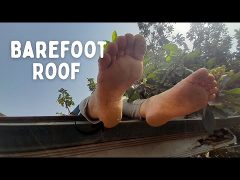 Cleaning the gutters and roof | Barefoot Homestead