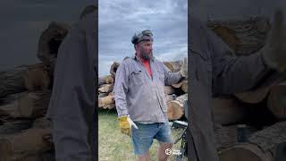 Famous First log delivery cut, split and stacked 👍 Net Worth