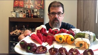 Bob Busby Exclusive! Chocolate Jabba Brains! 🔥 🌶 🤘 🥵