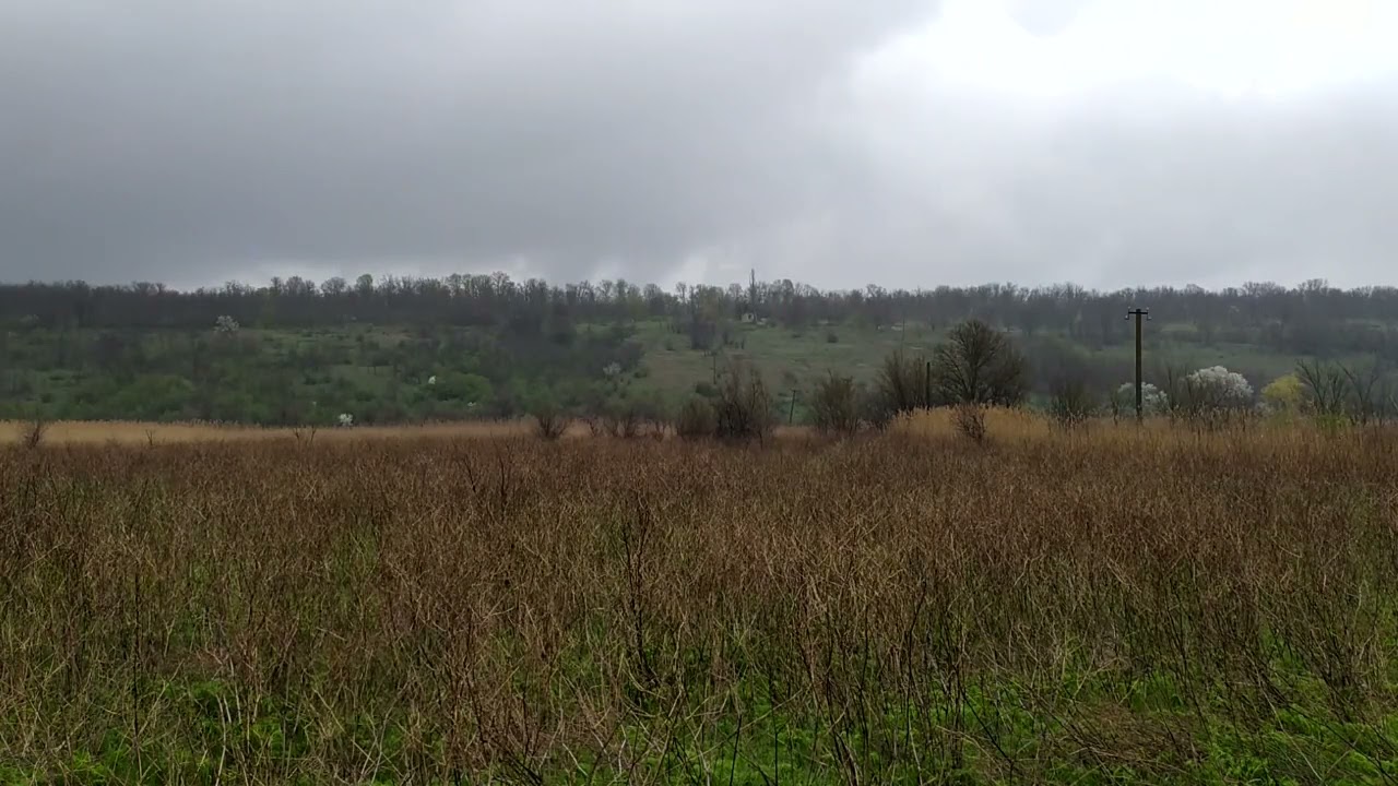 Rain and thunder in the field for sleep and relaxation I Noise of rain and thunder for deep sleep