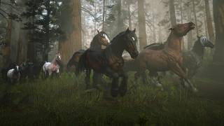 Blind Leading the Herd: Surviving Dense Fog Among High Dense Trees (RDR2)