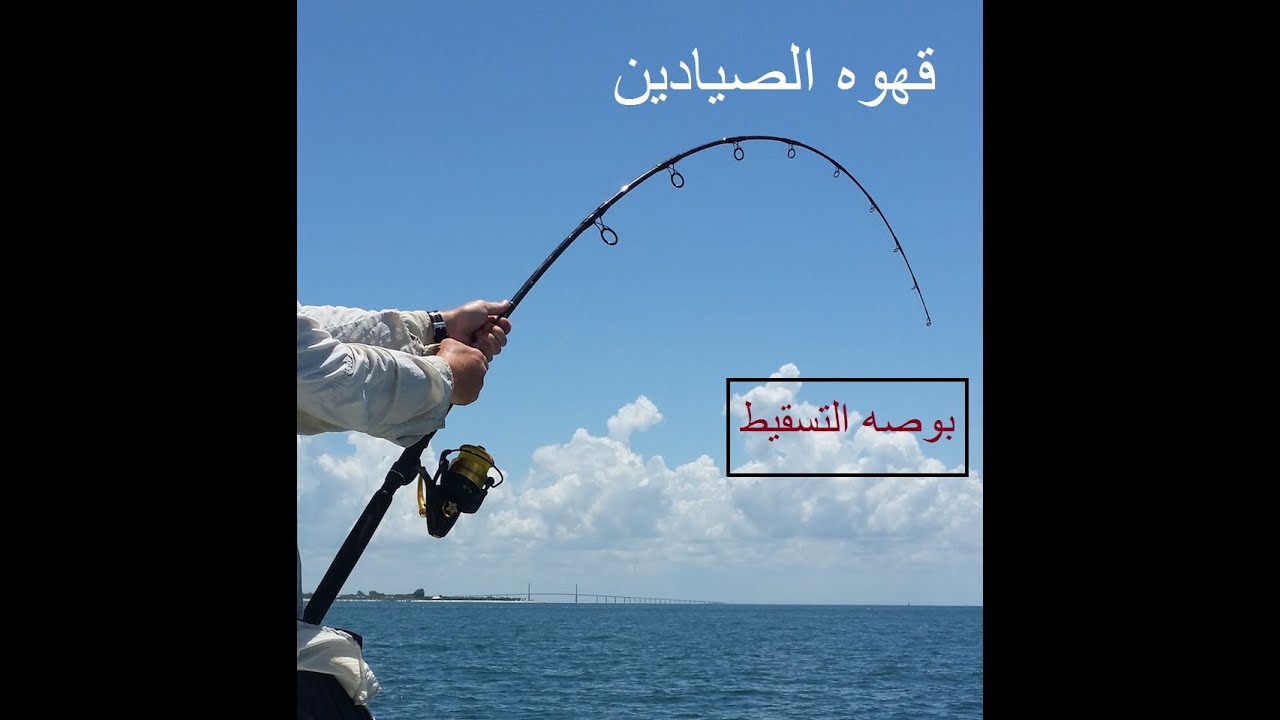 بوصه صيد التسقيط