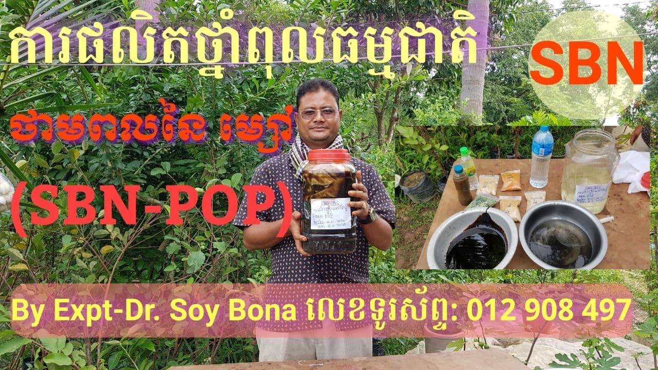 ការផលិតថ្នាំពុលធម្មជាតិ (ថាមពលនៃម្សៅ SBN-POP) |Soy Bona|