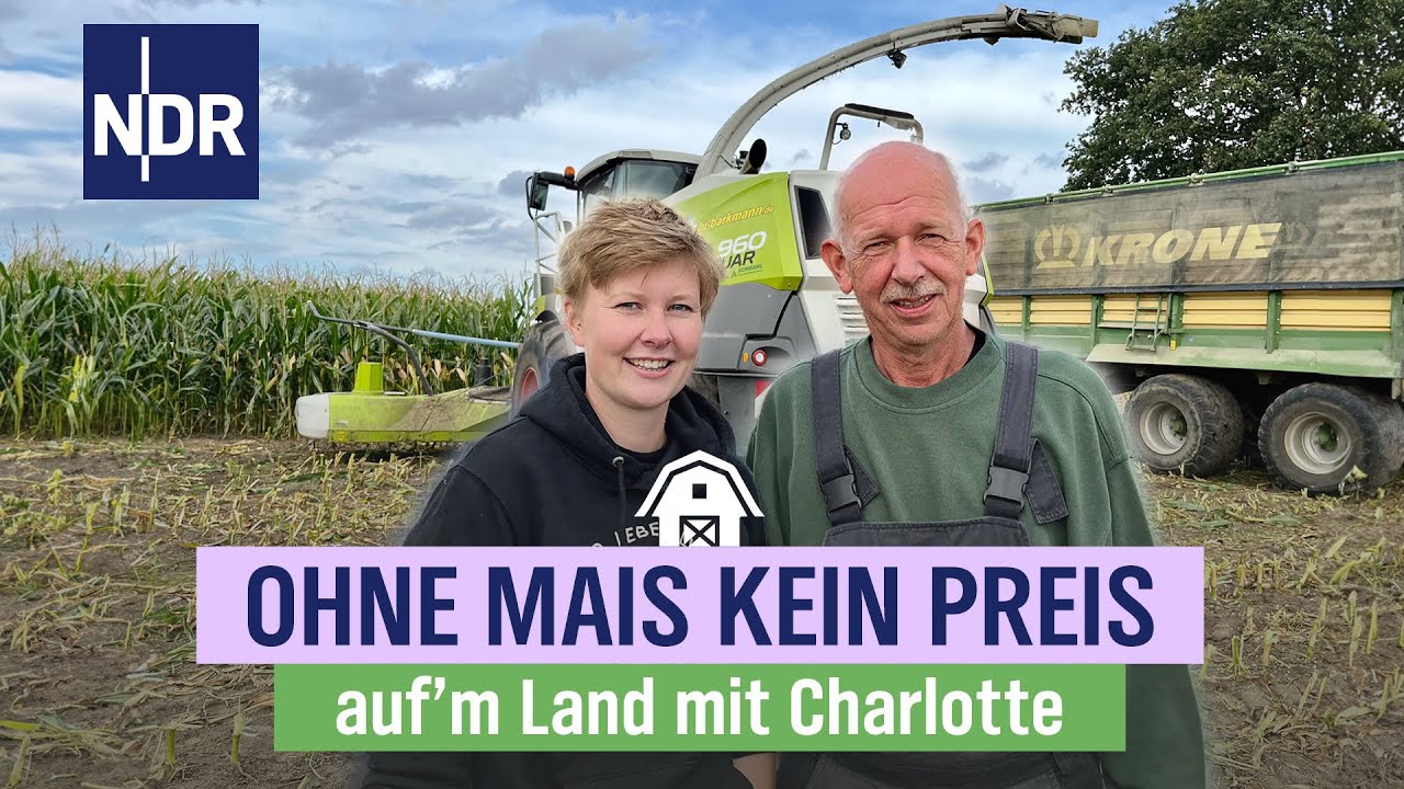 Grasernte 2023 Grünroggen für die Biogasanlage Lohnunternehmen im Einsatz 6 Traktoren 1 Häcksler