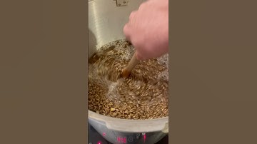 🍄‍🟫 #Step1 Make Spawn w/ Your Pressure Canner & Hot Plate #whip #batch #spawn #fresh #whole #oats