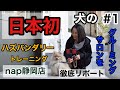 【徹底リポート①】日本初！ハズバンダリートレーニング専門 犬のグルーミングサロンnap静岡店