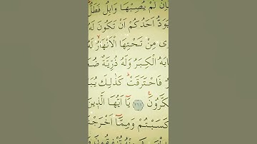 سورة البقرة الأية 266 القارئ مشاري راشد العفاسي