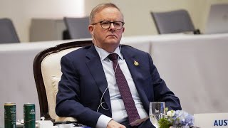 Albanese's promise to reduce power bills has been 'erased from his memory'